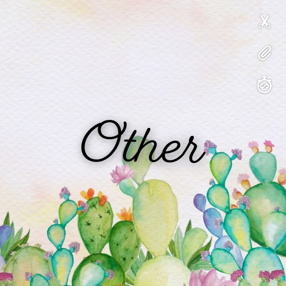 🌵Other🌵